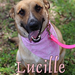Photo of Lucille