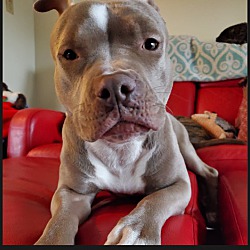Photo of Thorah
