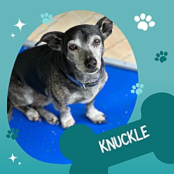 Photo of Knuckle