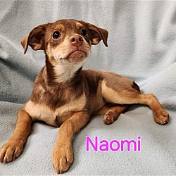 Photo of Naomi