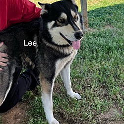 Thumbnail photo of Lee #3