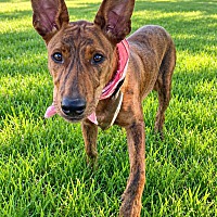 Ruby