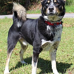 Photo of Ezra 36995