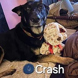 Thumbnail photo of Crash #2