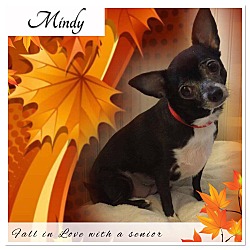 Thumbnail photo of Mindy #2