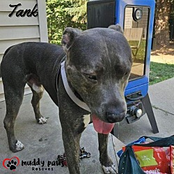 Thumbnail photo of Tank (Courtesy Post) #3