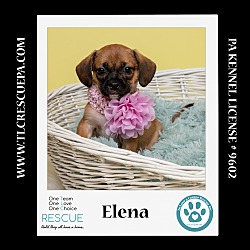 Thumbnail photo of Elena( Ten Spots) 082424 #2