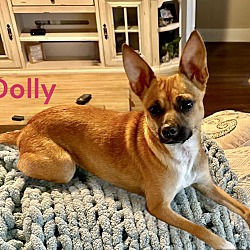 Thumbnail photo of DOLLY #4