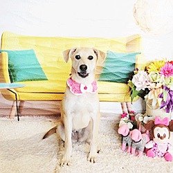 Thumbnail photo of Jigba #4