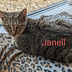 Photo of Janell