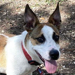 Photo of Roscoe