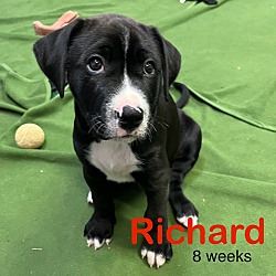 Thumbnail photo of Richard #1