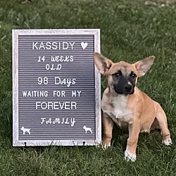 Thumbnail photo of Kassidy #1