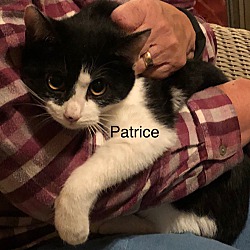 Photo of Patrice