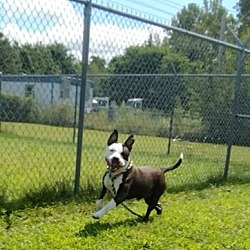 Photo of OREO