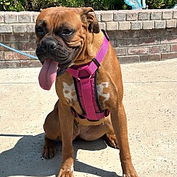 Photo of Lola