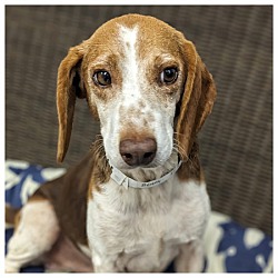 Photo of Benny