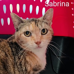 Photo of Sabrina
