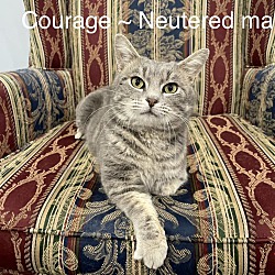 Photo of Courage