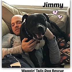 Thumbnail photo of Jimmy #1