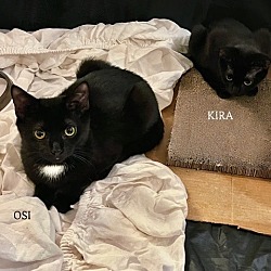 Photo of Osi and Kira: Courtesy Post