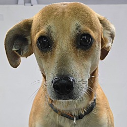 Edgar *Foster Needed*