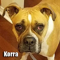 Thumbnail photo of Korra #1