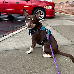 Photo of Sally