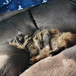 Photo of Lucy 