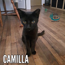 Photo of Camilla
