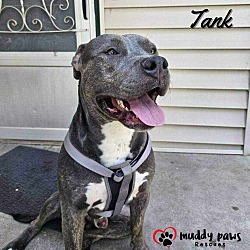 Thumbnail photo of Tank (Courtesy Post) #1