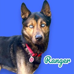 Photo of Ranger - On Hold