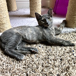 Thumbnail photo of Bonnie #3
