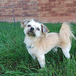 Photo of Lanie