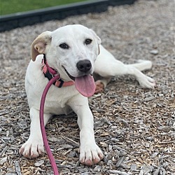 Photo of Wendy