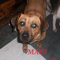 Photo of MARY
