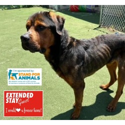 Photo of GRIZZLY