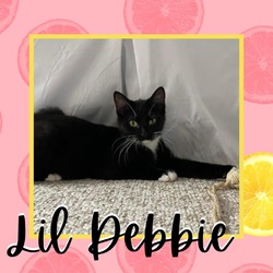 Thumbnail photo of Lil' Debbie #2