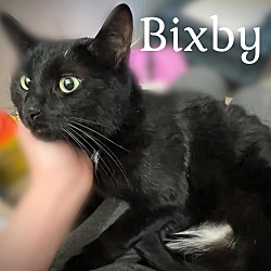 Photo of Bixby