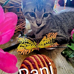 Photo of Rani