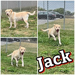 Photo of Jack