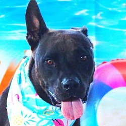 Photo of RootBeer JuM