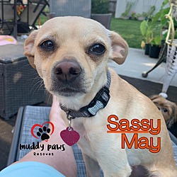 Thumbnail photo of Sassy May #1