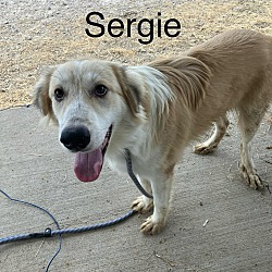 Thumbnail photo of Sergie #2