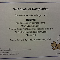 Thumbnail photo of Boone-IN TRAINING #3