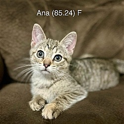 Photo of Foster Ana