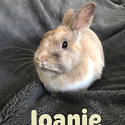 Photo of Joanie