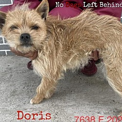 Photo of Doris 7638
