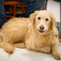 Photo of Delta