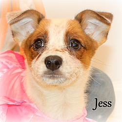 Thumbnail photo of Jess ~ meet me! #1